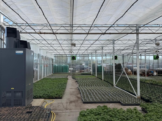 Plantsplus1